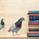 Image: Shutterstock/Gizmodo